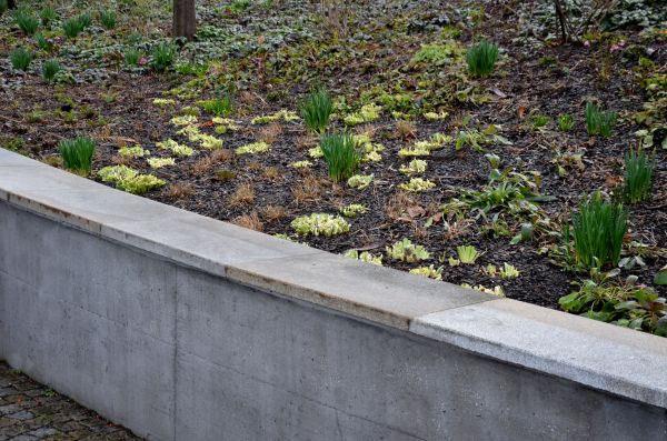 Concrete Wall Construction in Michigan City